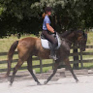 Meet your Posher, Christy